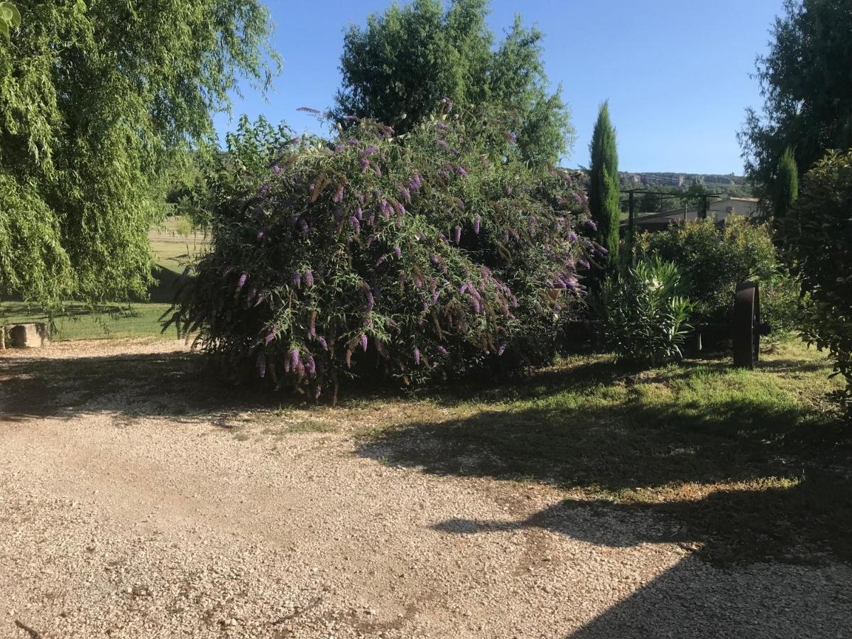 Apartmán Lou Mas Li Pitchoun "L'Olivade" Gordes Exteriér fotografie