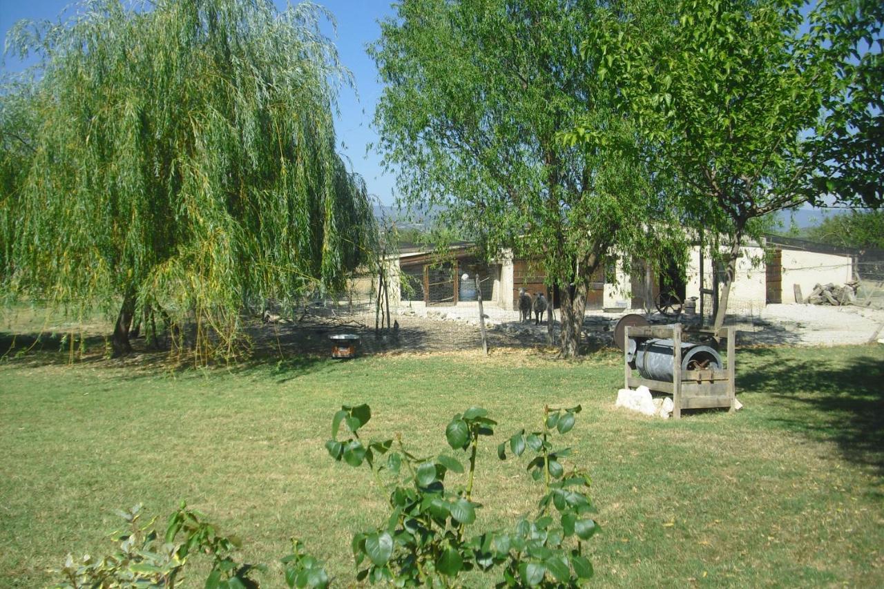 Apartmán Lou Mas Li Pitchoun "L'Olivade" Gordes Exteriér fotografie