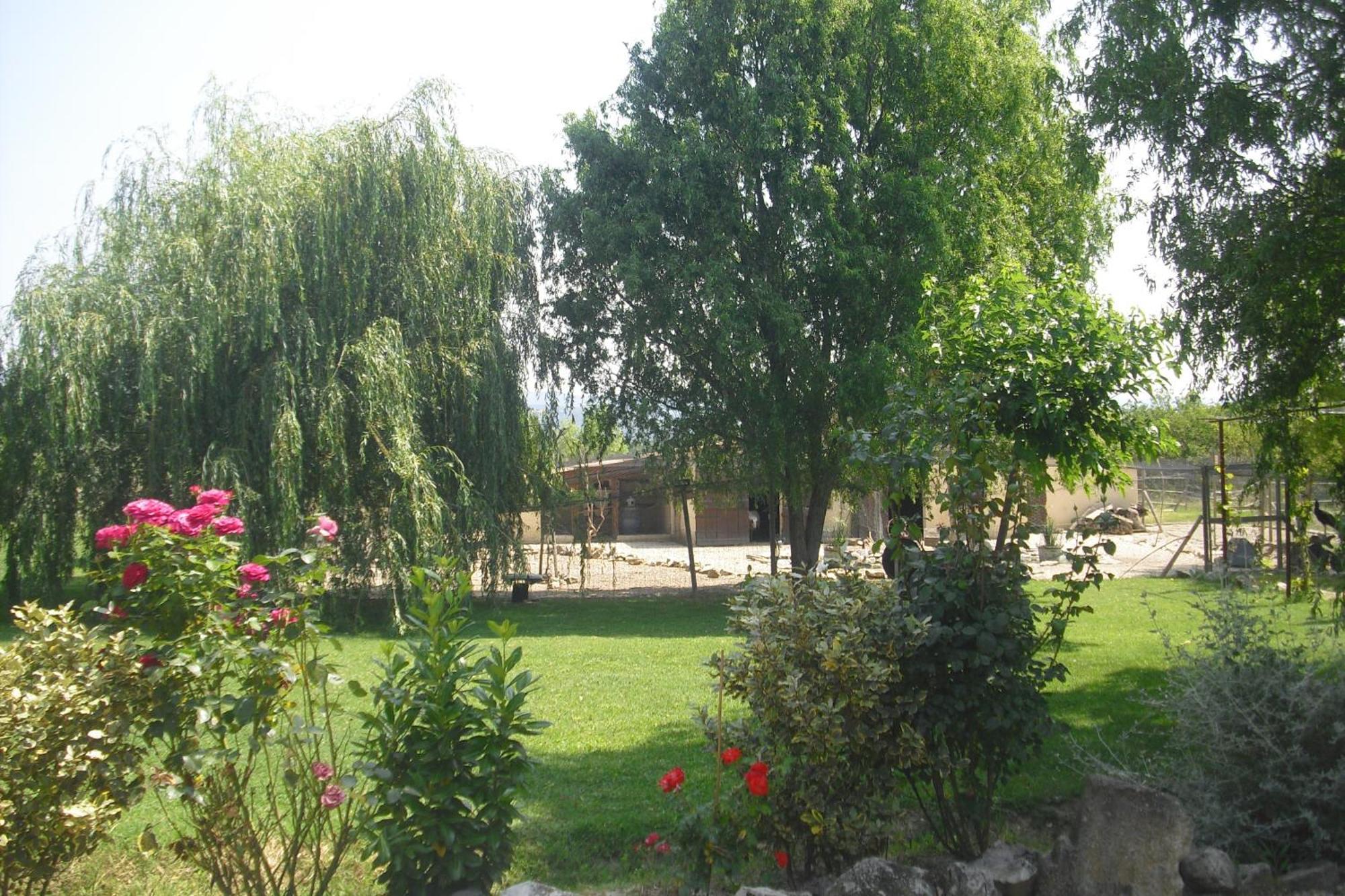 Apartmán Lou Mas Li Pitchoun "L'Olivade" Gordes Exteriér fotografie